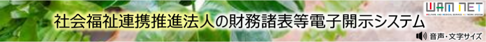 社会福祉連携推進法人の財務諸表等電子開示システム